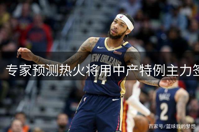 专家预测热火将用中产特例主力签下克莱