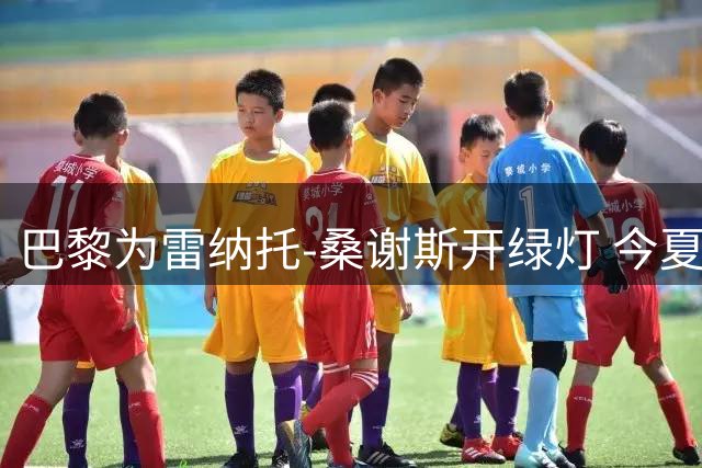 巴黎为雷纳托-桑谢斯开绿灯 今夏可自由离队