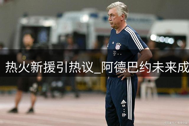 热火新援引热议 阿德巴约未来成焦点