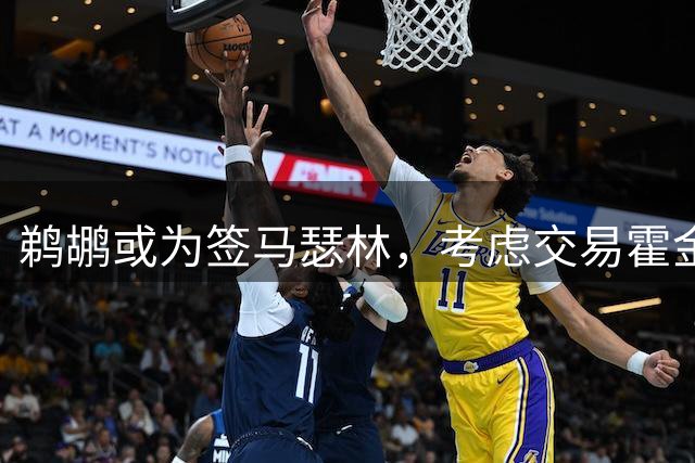 鹈鹕或为签马瑟林，考虑交易霍金斯腾空间